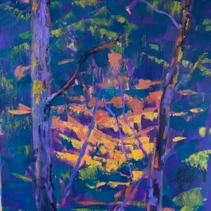 Light in the Forest